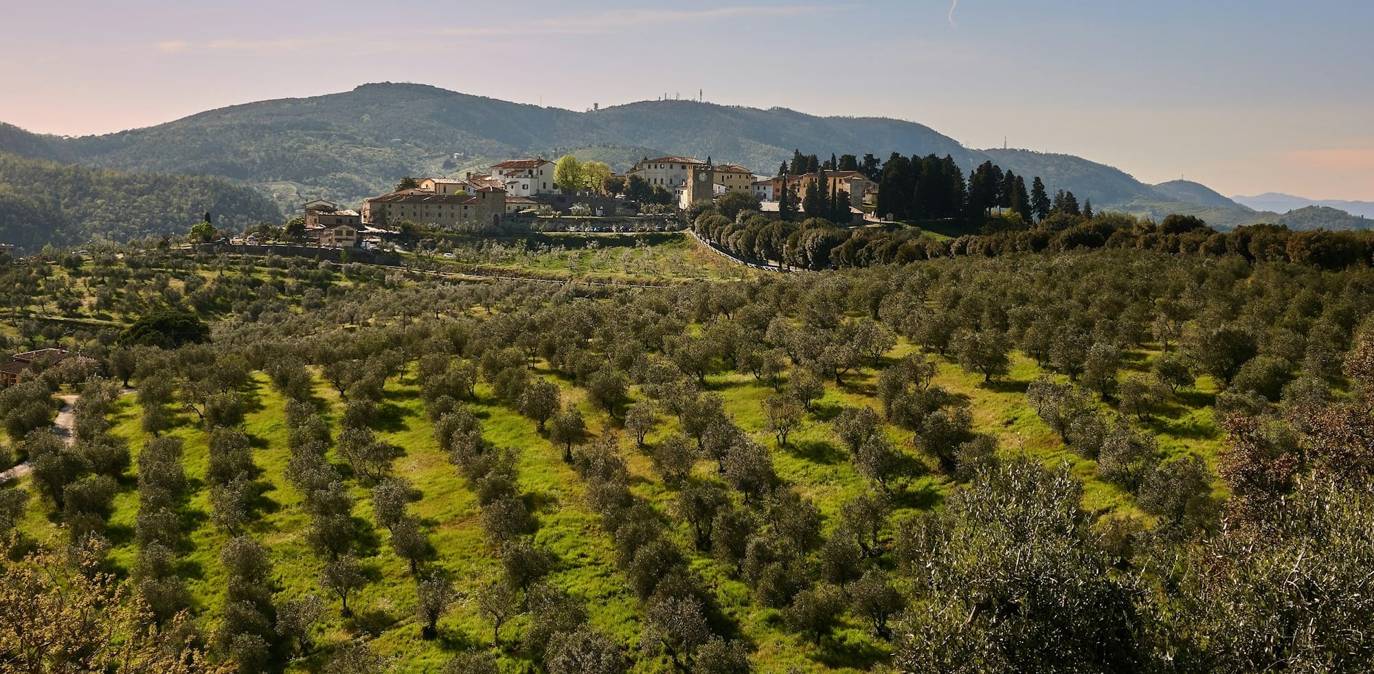 a small village on a hill surrounded by trees