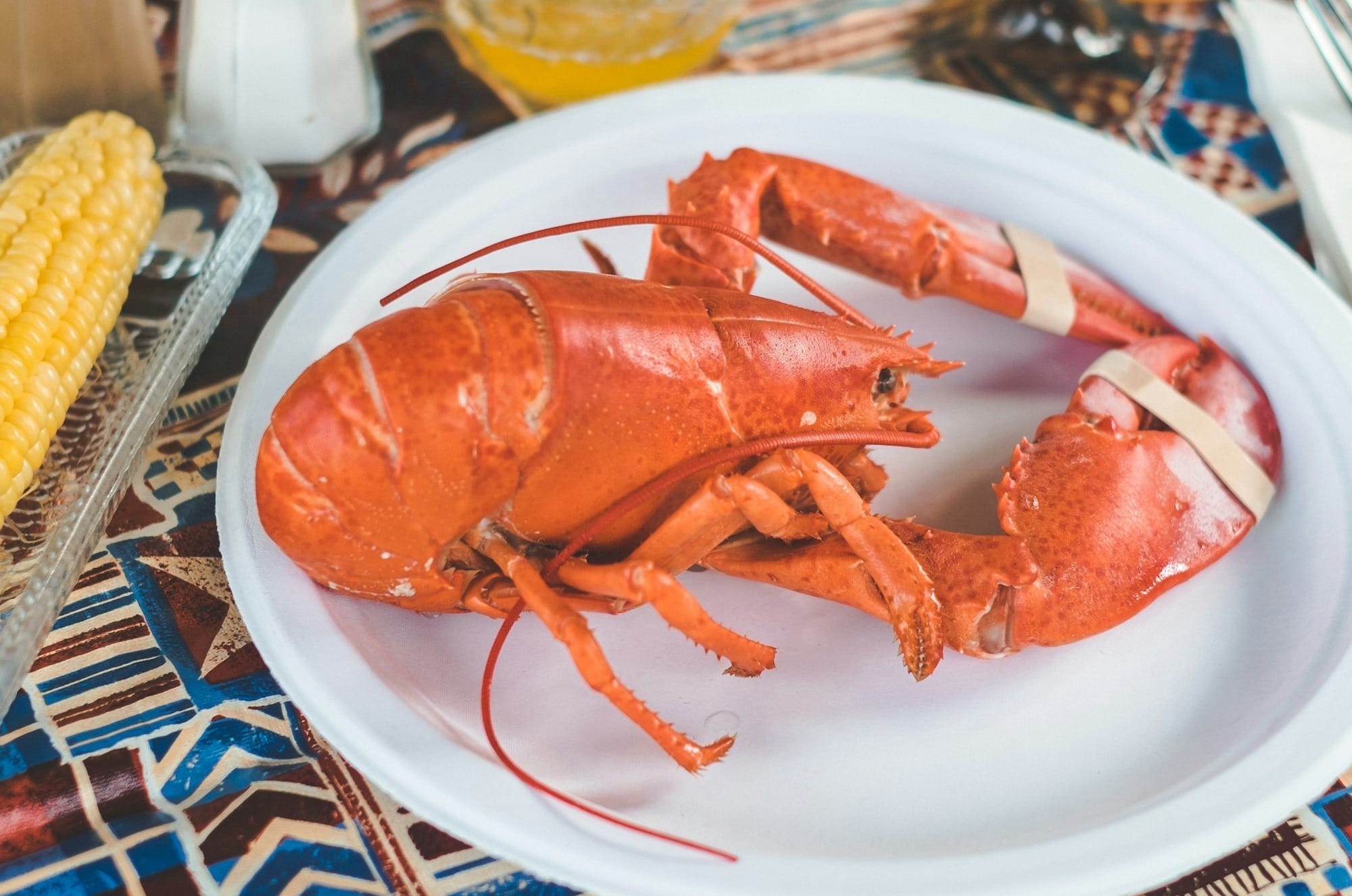 True Lobsters (Maine/American/European) on the plate