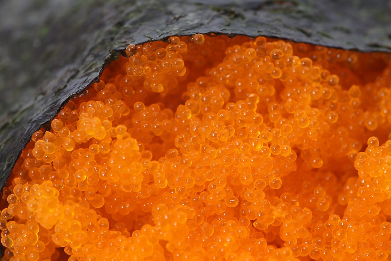 Tobiko tiny eggs