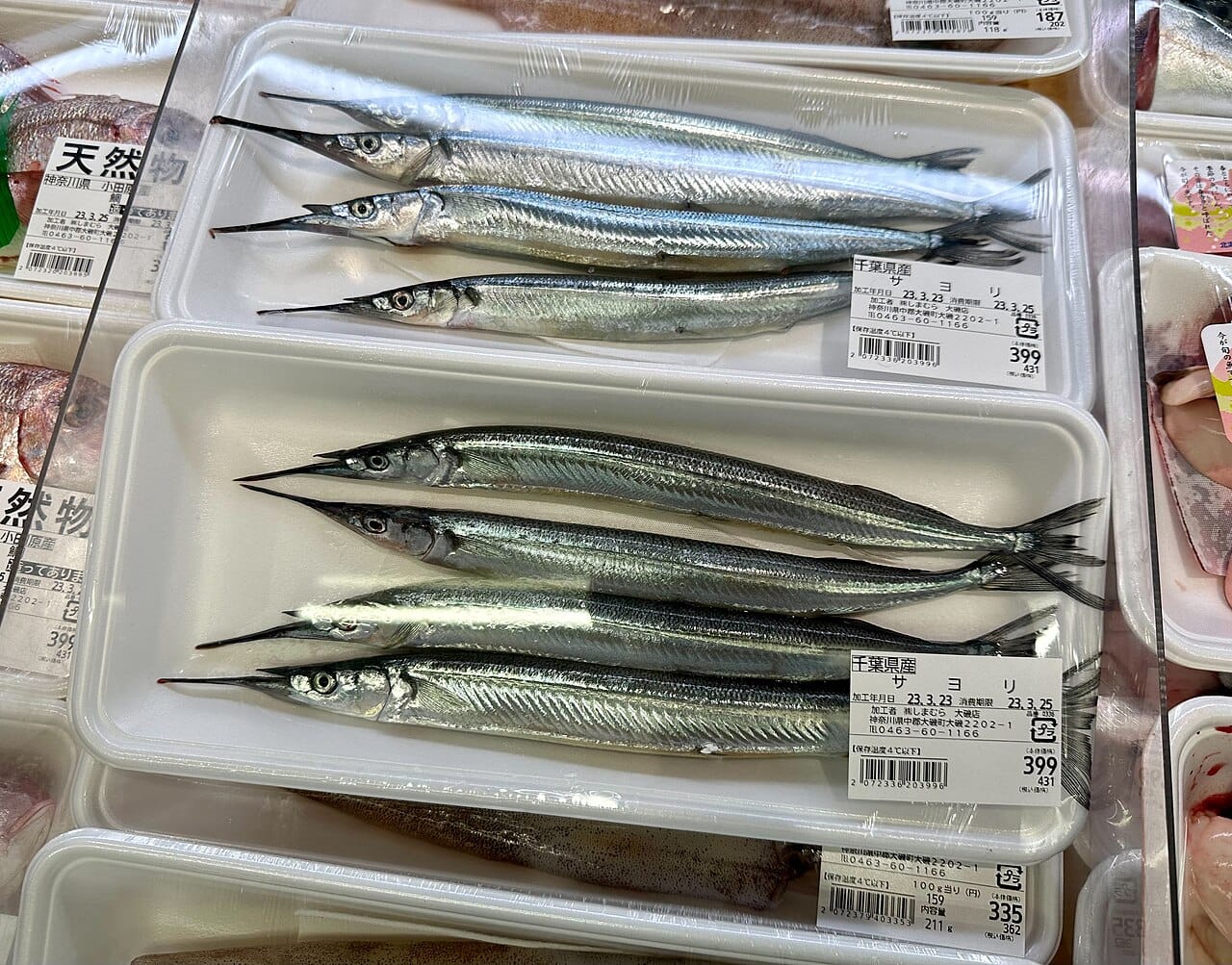 Japanese Halfbeak fish in packaging in market