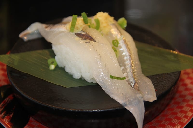 Japanese Sayori halfbeak served in nigiri