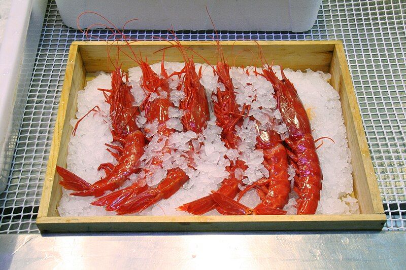 Spain's Carabineros: The World's Most Expensive Prawn
