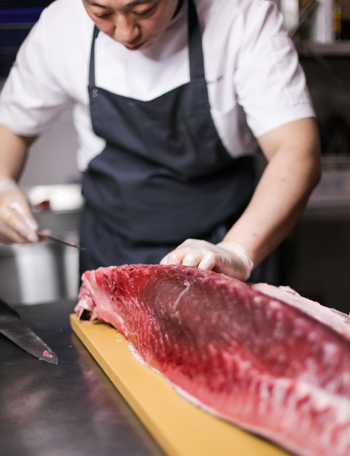 What Are The Most Expensive Cuts of Bluefin Tuna?