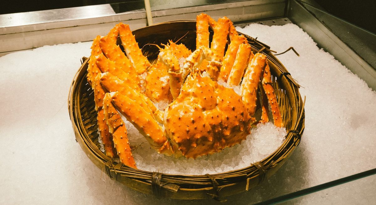 Discover The World's Most Expensive Crab