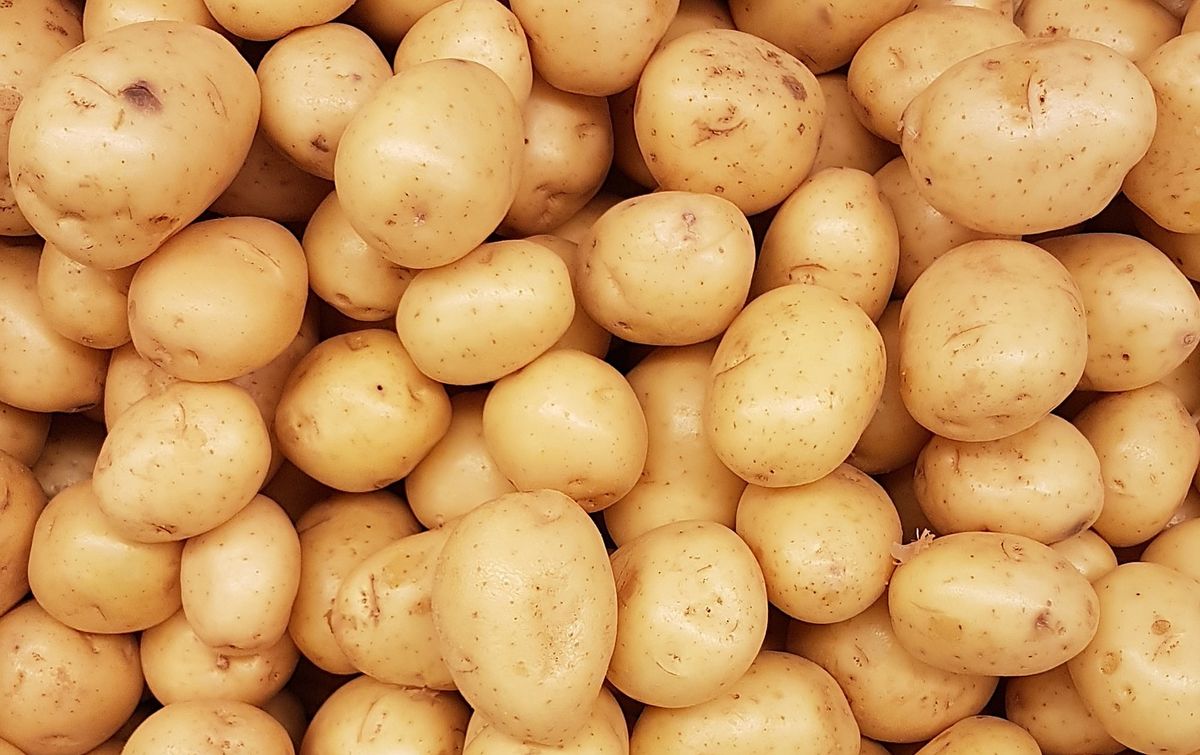 Discover La Bonnotte: World's Most Expensive Potato