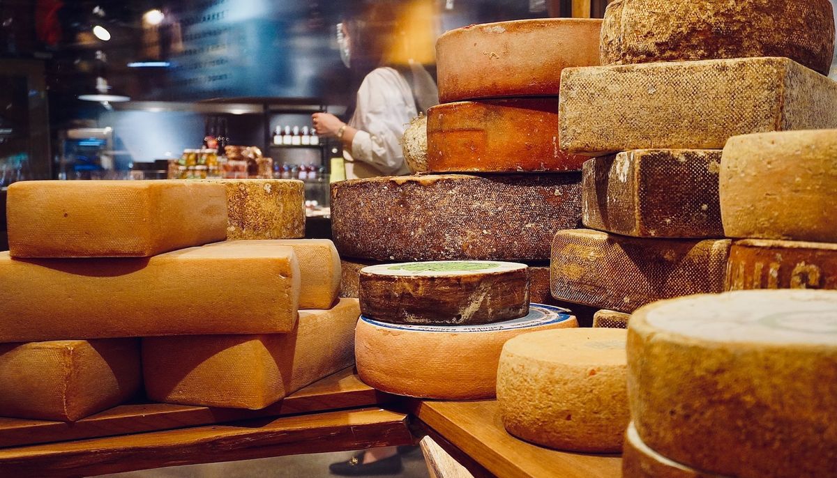 Discover The Most Expensive Cheese in The World