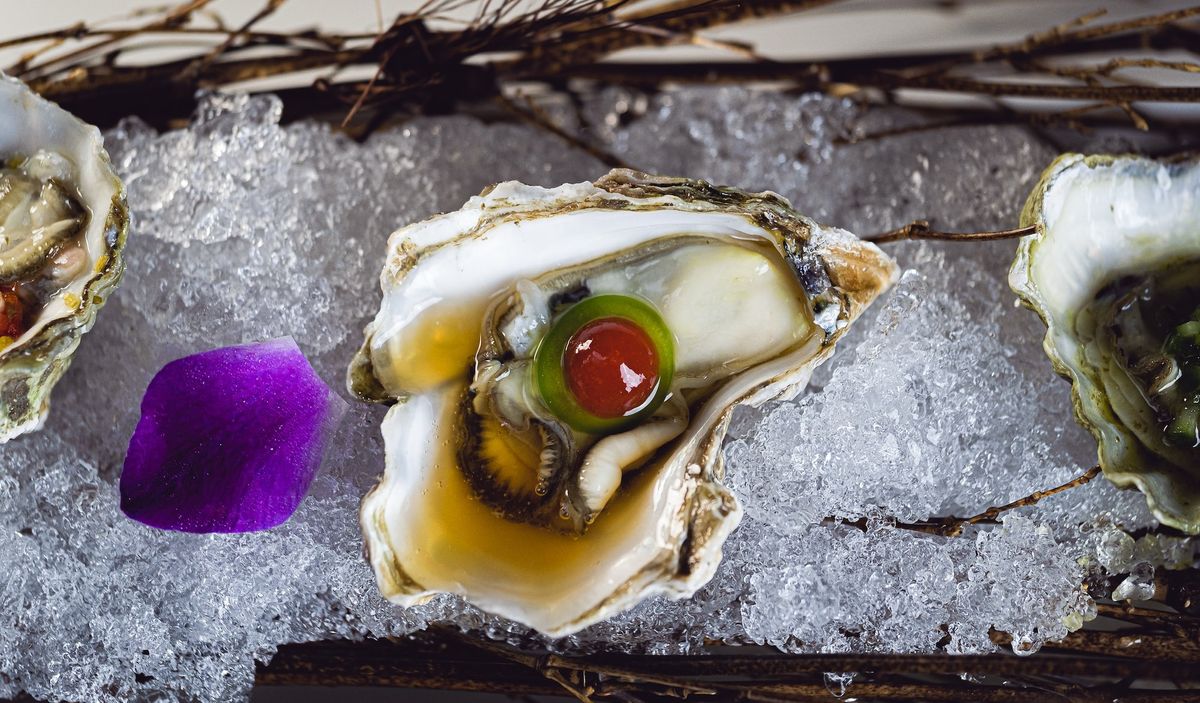 Discover France's Finest Top-Tier Oysters