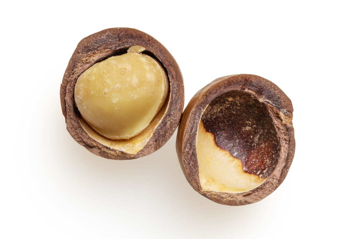Macadamia Nuts: Here's Why It's So Expensive
