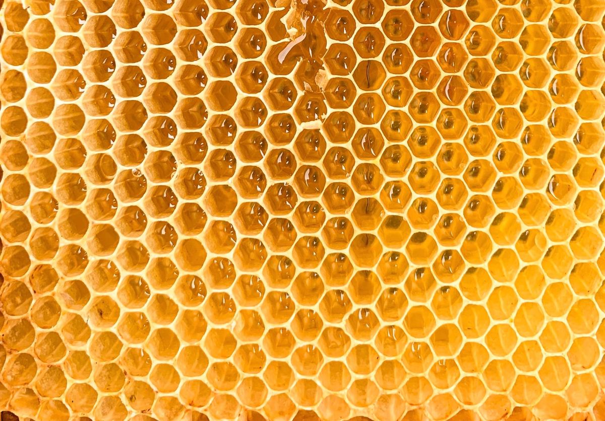 Elvish Honey: The Liquid Gold from the Depths