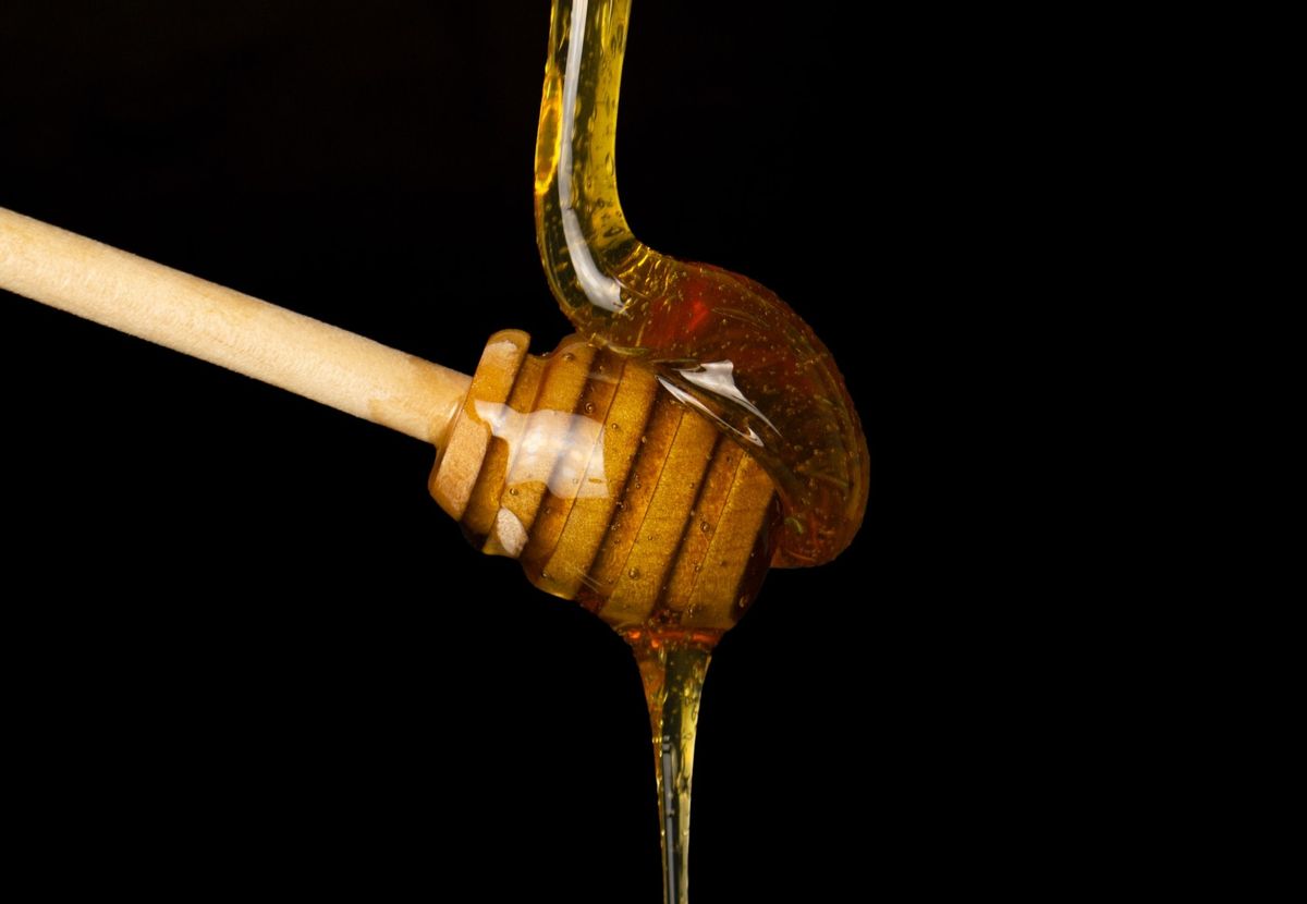 Tualang Honey: A Luxurious Nectar from the Rainforests