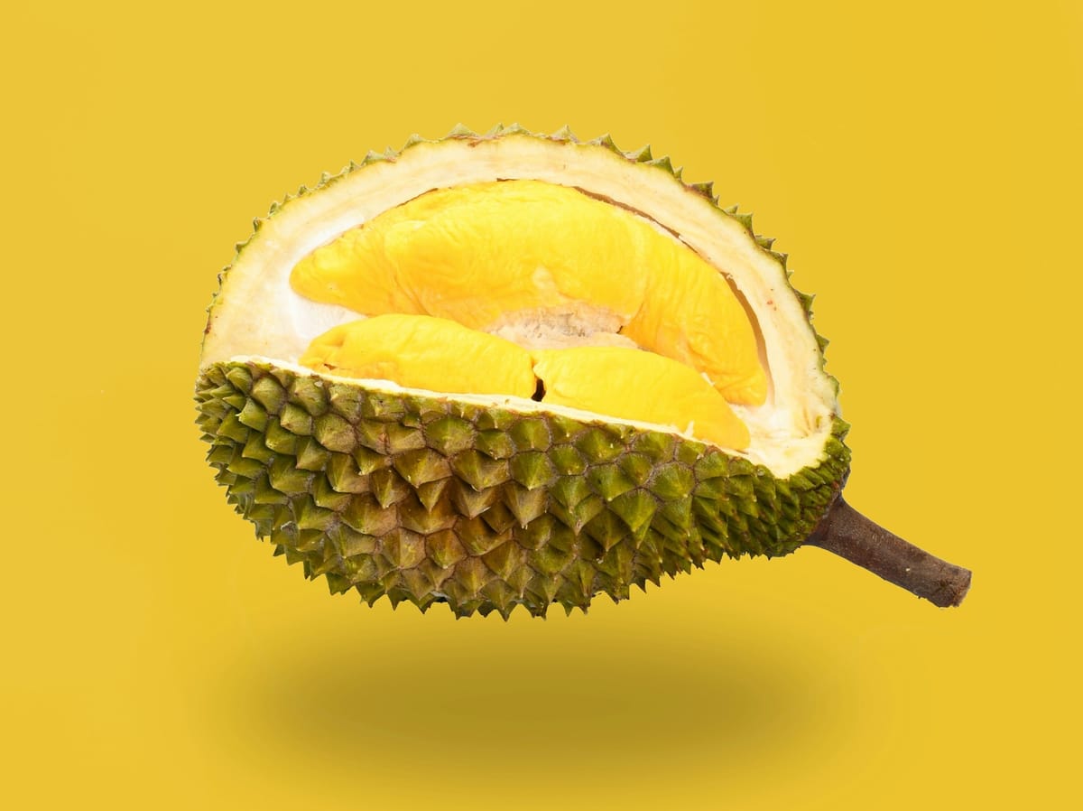 Durian: What Makes This Fruit So Expensive?