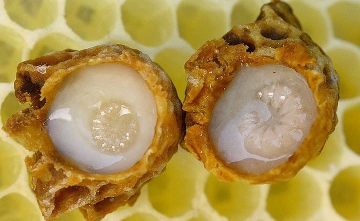 Raw Royal Jelly