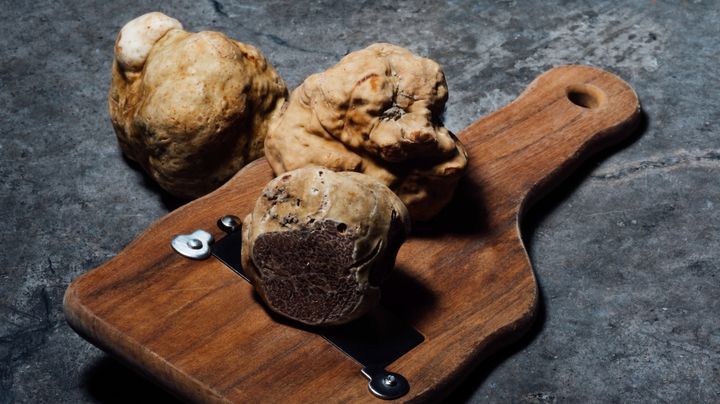 Alba white truffle