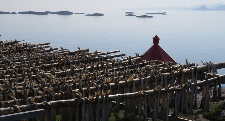 Drying the Stockfish