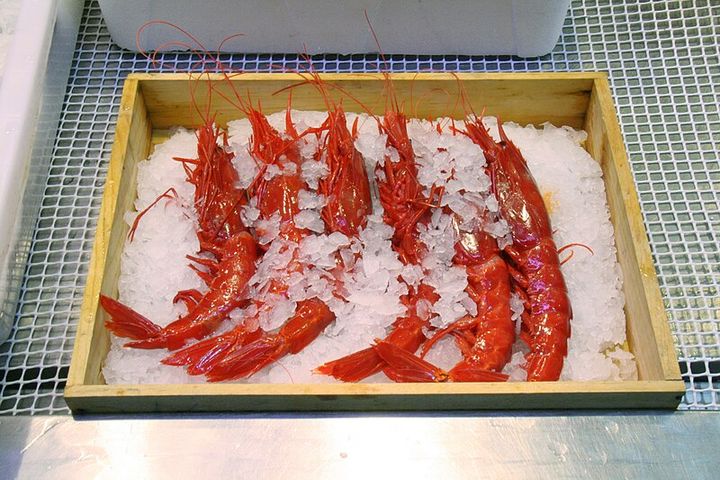 Scarlet Prawn or known as Carabineros Prawn 