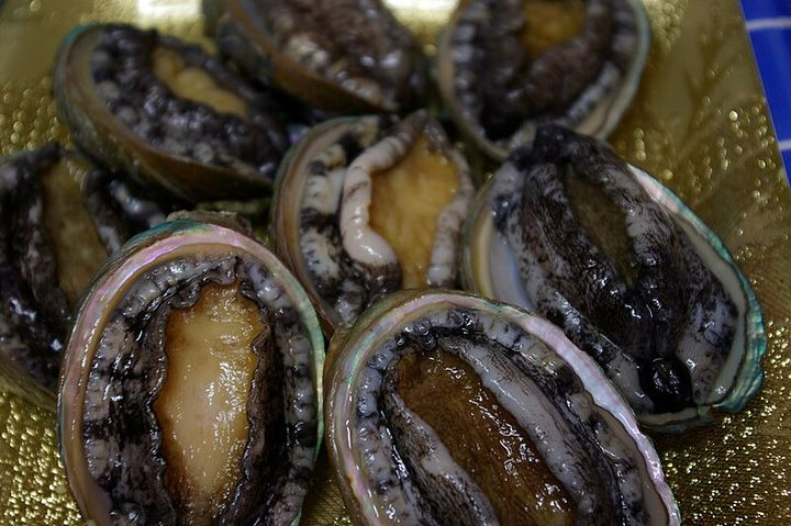 fresh abalone