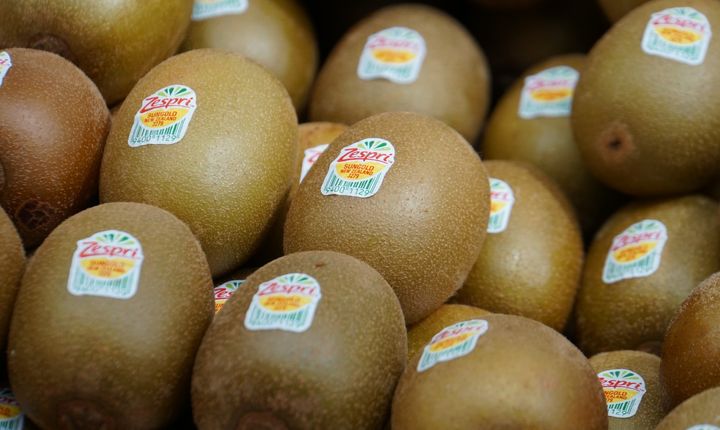 Zespri SunGold Golden Kiwi