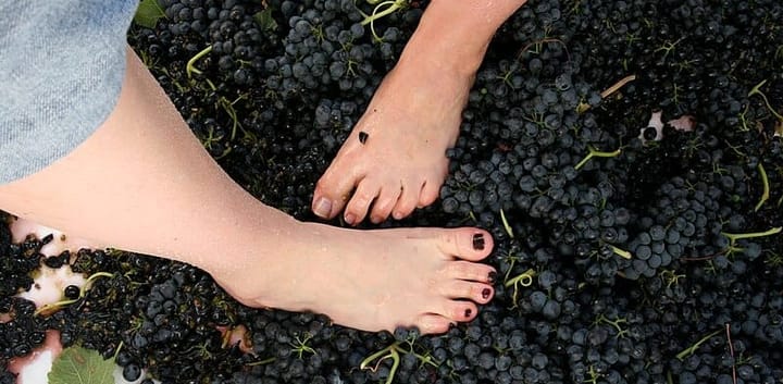 Grape Crushing by Foot