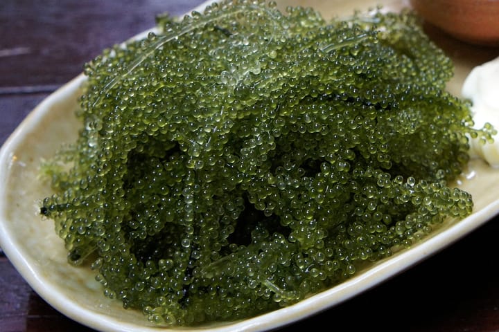 Sea Grapes aka Green caviar