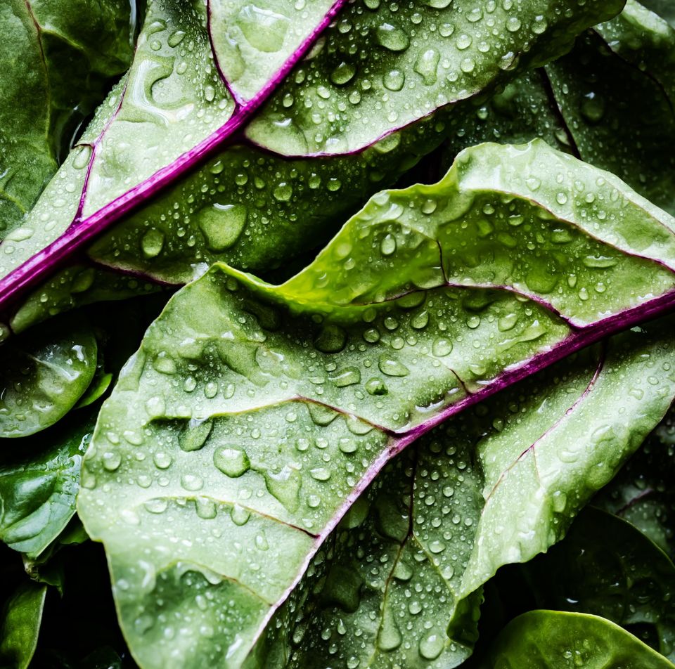 Discover The World's Most Expensive Vegetables